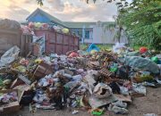 Sampah Pasar Sarimalaha Menumpuk, Kepala DLH Tidore Mengaku Terkendala BBM dan Anggaran