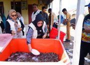 PKK Tidore Berperan Aktif Bantu Distribusi Pemasaran Udang Vaname