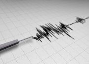 BMKG Perbarui Magnitudo Gempa Halmahera Tengah Menjadi M5,4